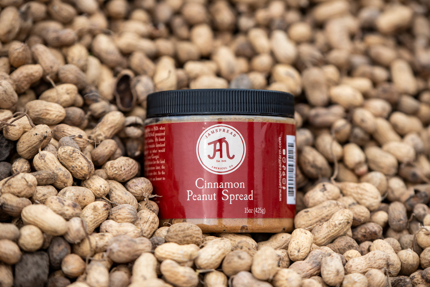 Cinnamon Peanut Spread